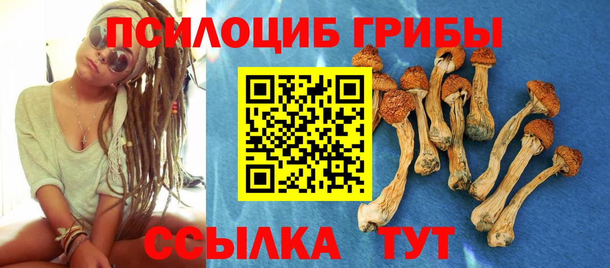 Псилоцибиновые грибы ЛСД Тимашёвск